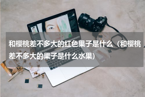 和樱桃差不多大的红色果子是什么（和樱桃差不多大的果子是什么水果）