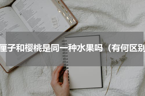 车厘子和樱桃是同一种水果吗（有何区别）