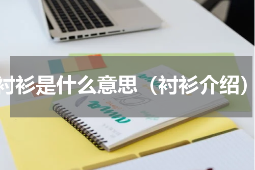 衬衫是什么意思（衬衫介绍）