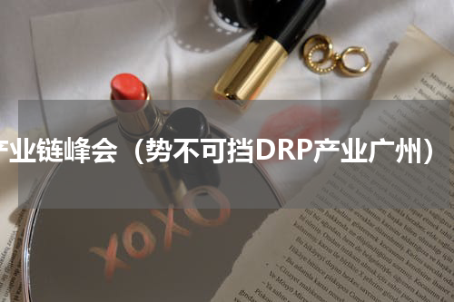 产业链峰会（势不可挡DRP产业广州）