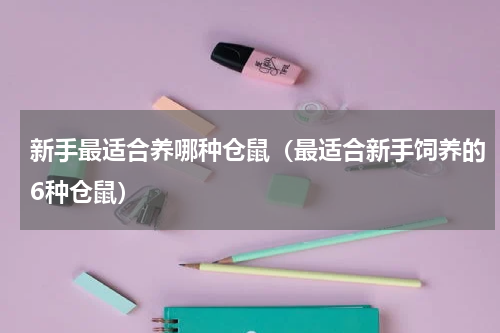 新手最适合养哪种仓鼠（最适合新手饲养的6种仓鼠）