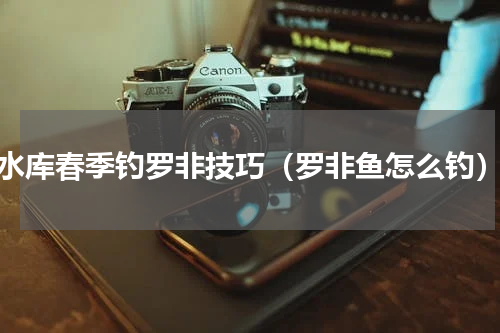 水库春季钓罗非技巧（罗非鱼怎么钓）