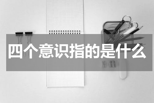 四个意识指的是什么