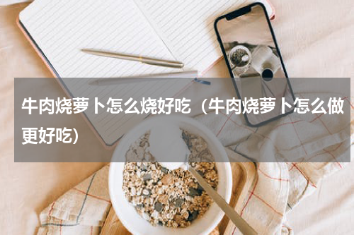 牛肉烧萝卜怎么烧好吃（牛肉烧萝卜怎么做更好吃）