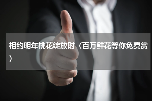相约明年桃花绽放时（百万鲜花等你免费赏）
