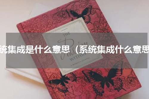 系统集成是什么意思（系统集成什么意思）