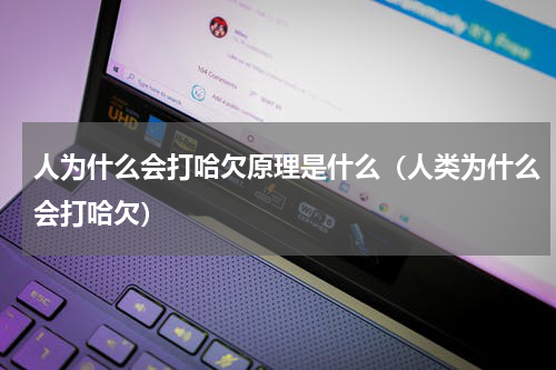 人为什么会打哈欠原理是什么（人类为什么会打哈欠）