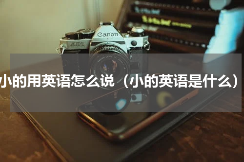 小的用英语怎么说（小的英语是什么）
