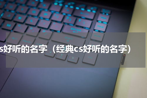 cs好听的名字（经典cs好听的名字）