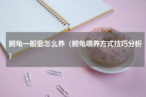 鳄龟一般要怎么养（鳄龟喂养方式技巧分析）