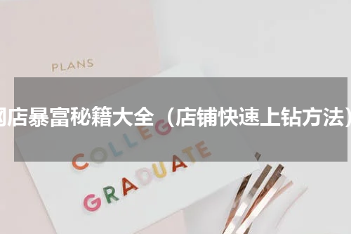 网店暴富秘籍大全（店铺快速上钻方法）