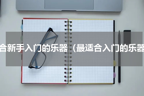适合新手入门的乐器（最适合入门的乐器）