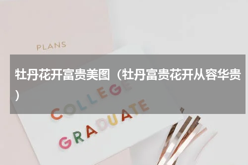 牡丹花开富贵美图（牡丹富贵花开从容华贵）