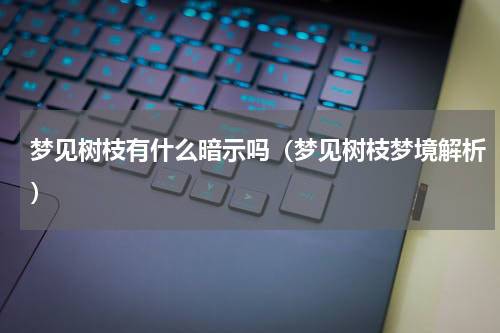 梦见树枝有什么暗示吗（梦见树枝梦境解析）