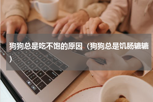 狗狗总是吃不饱的原因（狗狗总是饥肠辘辘）