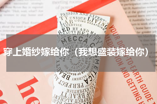 穿上婚纱嫁给你（我想盛装嫁给你）
