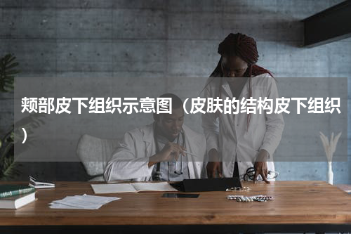 颊部皮下组织示意图（皮肤的结构皮下组织）