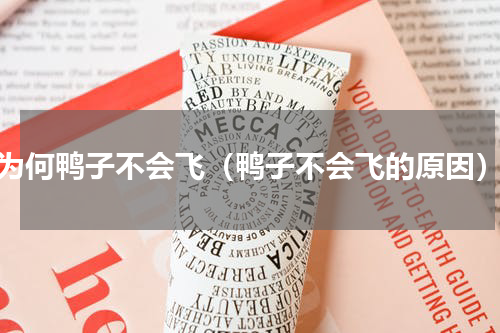 为何鸭子不会飞（鸭子不会飞的原因）