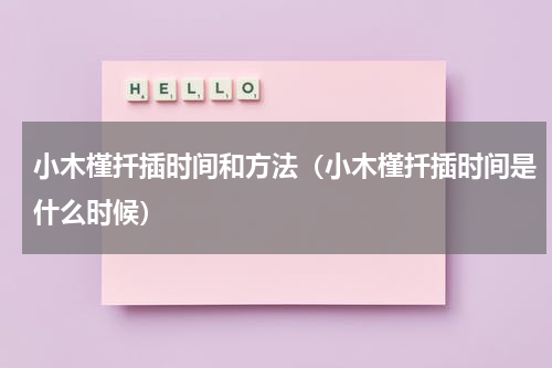 小木槿扦插时间和方法（小木槿扦插时间是什么时候）