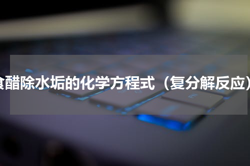食醋除水垢的化学方程式（复分解反应）