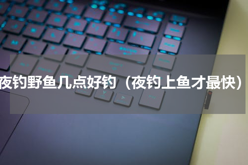 夜钓野鱼几点好钓（夜钓上鱼才最快）