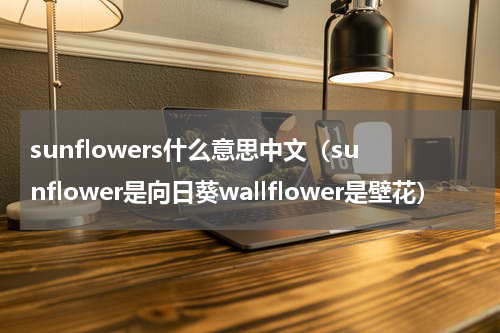 sunflowers什么意思中文（sunflower是向日葵wallflower是壁花）