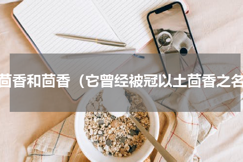 土茴香和茴香（它曾经被冠以土茴香之名）