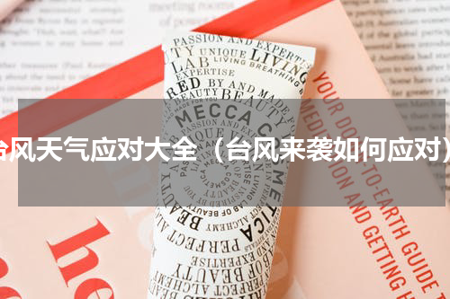 台风天气应对大全（台风来袭如何应对）