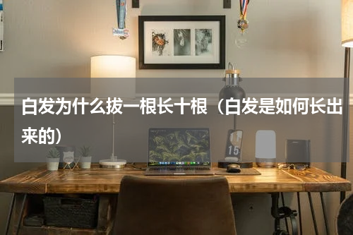 白发为什么拔一根长十根（白发是如何长出来的）