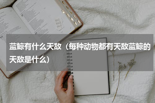 蓝鲸有什么天敌（每种动物都有天敌蓝鲸的天敌是什么）
