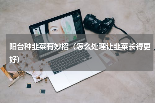 阳台种韭菜有妙招（怎么处理让韭菜长得更好）