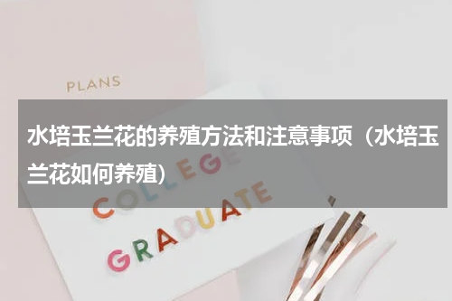 水培玉兰花的养殖方法和注意事项（水培玉兰花如何养殖）