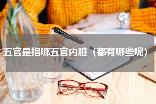 五官是指哪五官内脏（都有哪些呢）
