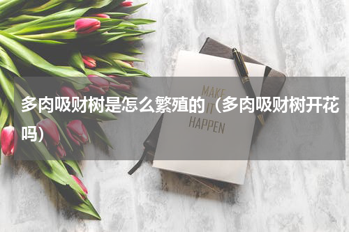 多肉吸财树是怎么繁殖的（多肉吸财树开花吗）