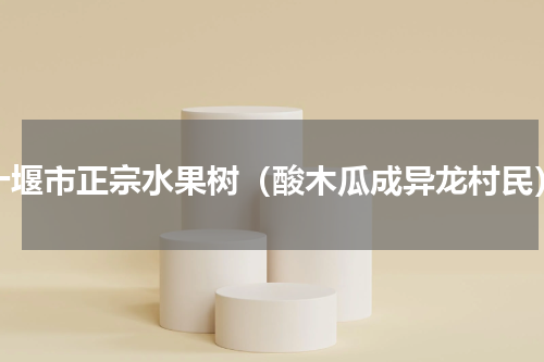 十堰市正宗水果树（酸木瓜成异龙村民）
