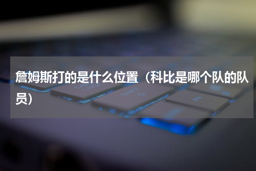 詹姆斯打的是什么位置（科比是哪个队的队员）
