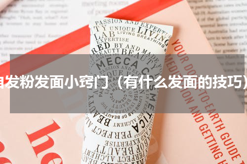 自发粉发面小窍门（有什么发面的技巧）