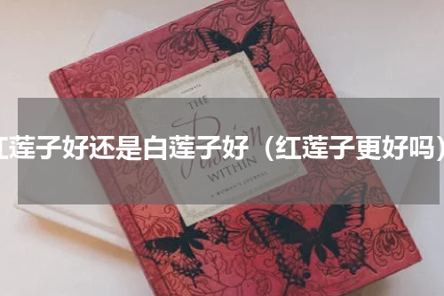 红莲子好还是白莲子好（红莲子更好吗）
