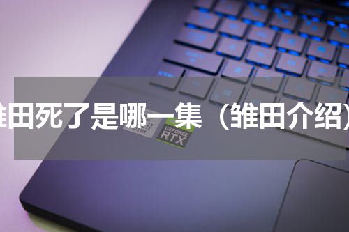 雏田死了是哪一集（雏田介绍）