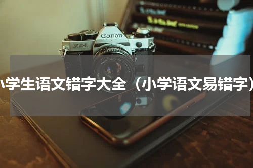 小学生语文错字大全（小学语文易错字）