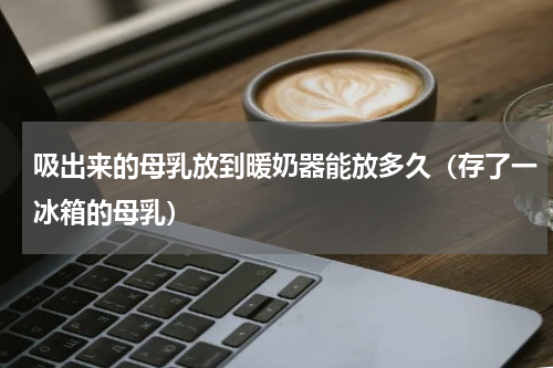 吸出来的母乳放到暖奶器能放多久（存了一冰箱的母乳）