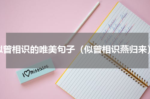 似曾相识的唯美句子（似曾相识燕归来）
