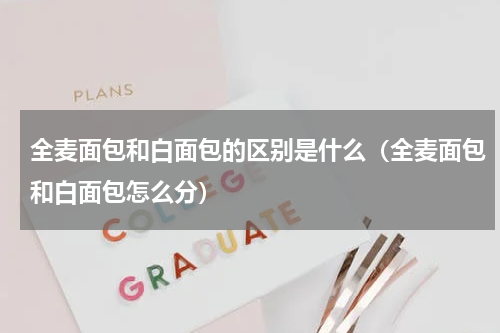 全麦面包和白面包的区别是什么（全麦面包和白面包怎么分）