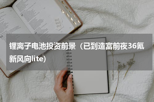 锂离子电池投资前景（已到造富前夜36氪新风向lite）