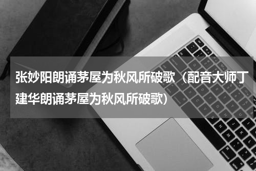 张妙阳朗诵茅屋为秋风所破歌（配音大师丁建华朗诵茅屋为秋风所破歌）