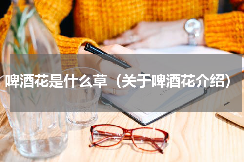 啤酒花是什么草（关于啤酒花介绍）