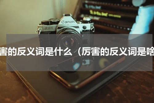 厉害的反义词是什么（厉害的反义词是啥）