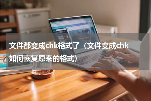 文件都变成chk格式了（文件变成chk如何恢复原来的格式）