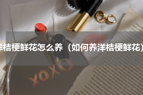 洋桔梗鲜花怎么养（如何养洋桔梗鲜花）