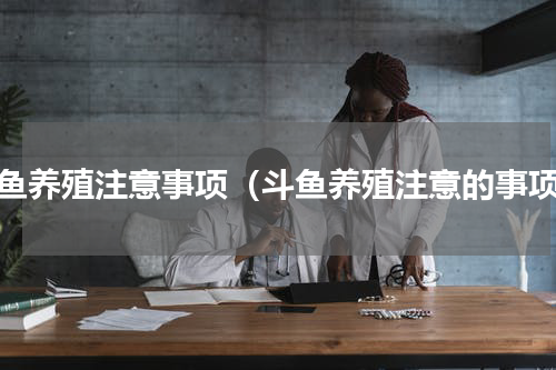 斗鱼养殖注意事项（斗鱼养殖注意的事项）